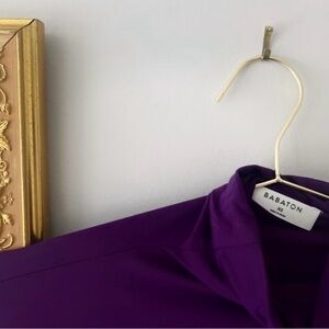 Babaton turtle neck Sweater